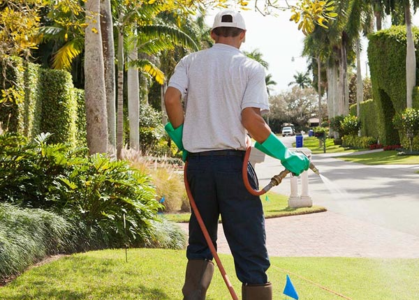 About Brooten MN Pest Control Pros